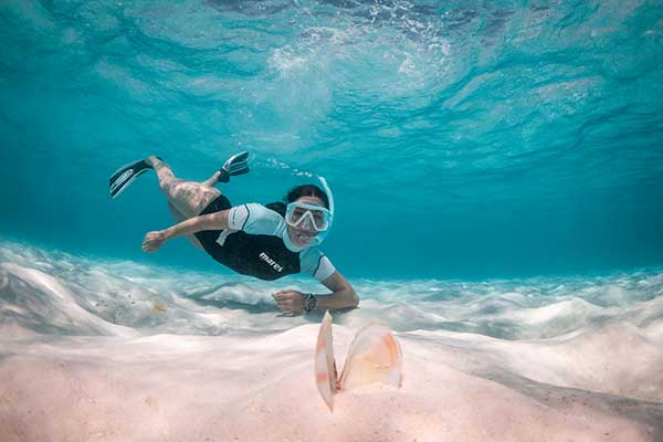 Snorkel Diver