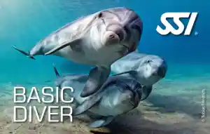 Basic Diver / Discover Scuba Dibing