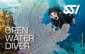 SSI Open Water Diver / SSI Diving courses koh lanta