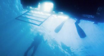 Boat Diver