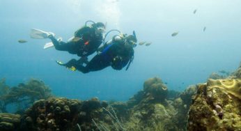 Deep Diver