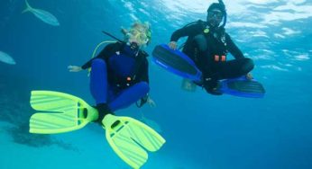 Peak Performance Buoyancy Diver