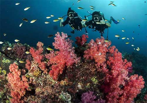 Koh Lanta dive sites