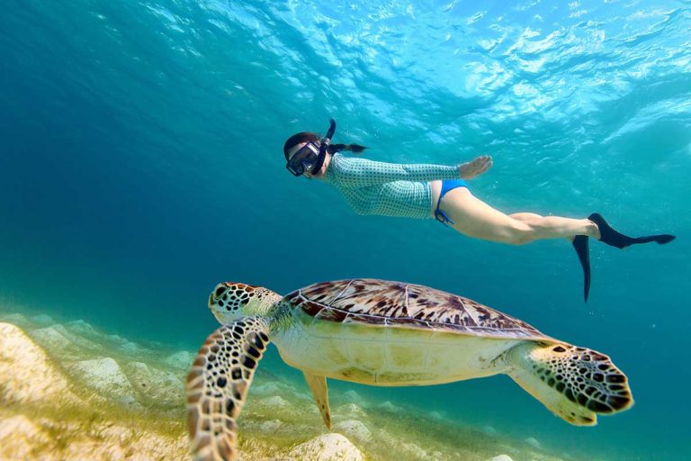 Snorkeling trip koh lanta