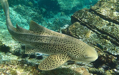 Koh Lanta dive sites