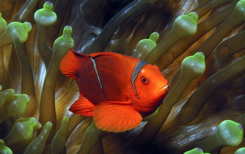 Koh Lanta dive sites