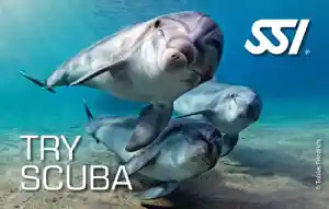 Basic Diver / Discover Scuba Dibing