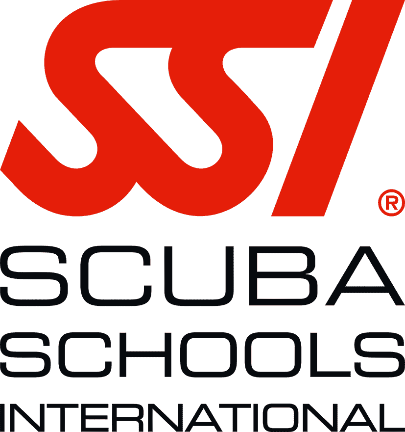 SSI Logo
