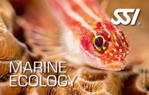 Écologie Marine