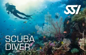 Cours Scuba Diver SSI à Koh Lanta