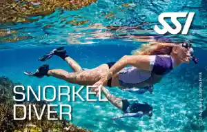 Formation Snorkeling / Excursion Snorkeling Koh Lanta