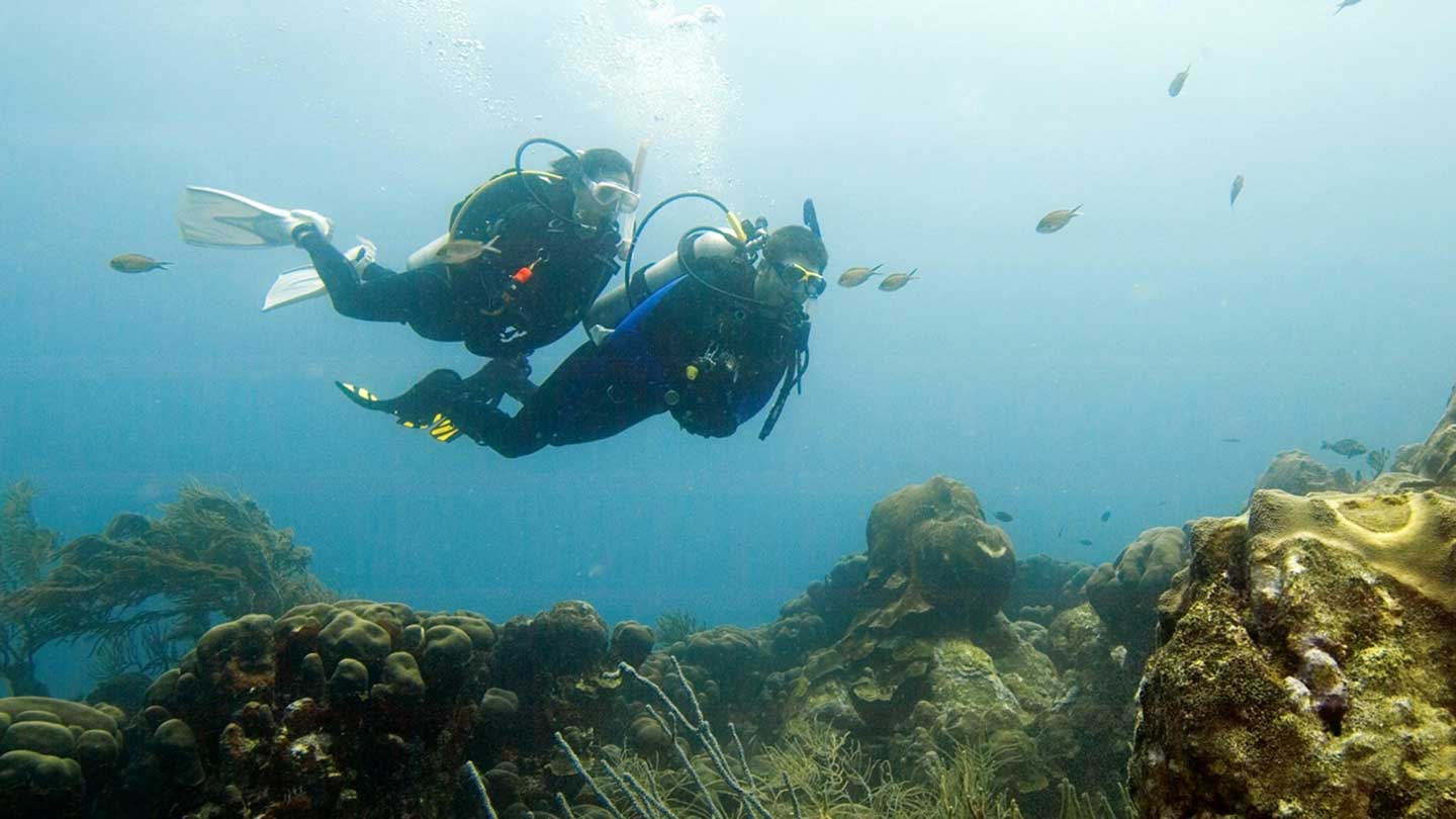 Spécialité plongée profonde à Koh Lanta