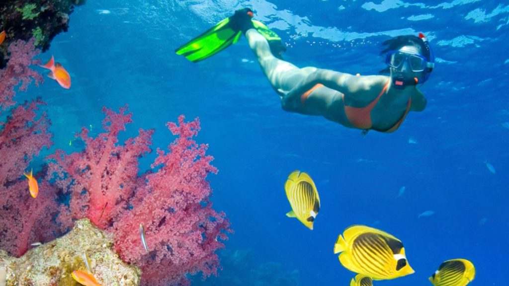 sortie Excursion Snorkeling à koh lanta