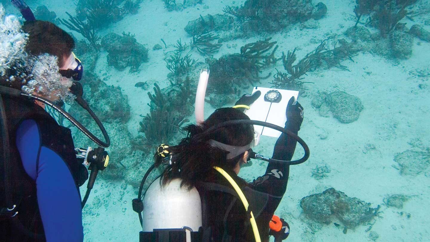 Orientation sous-marine à Koh Lanta